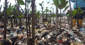 Screenshot_20230713-064112~2