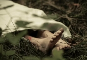 Screenshot_20230716-052825~2