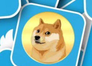 Screenshot_20230717-135424~2