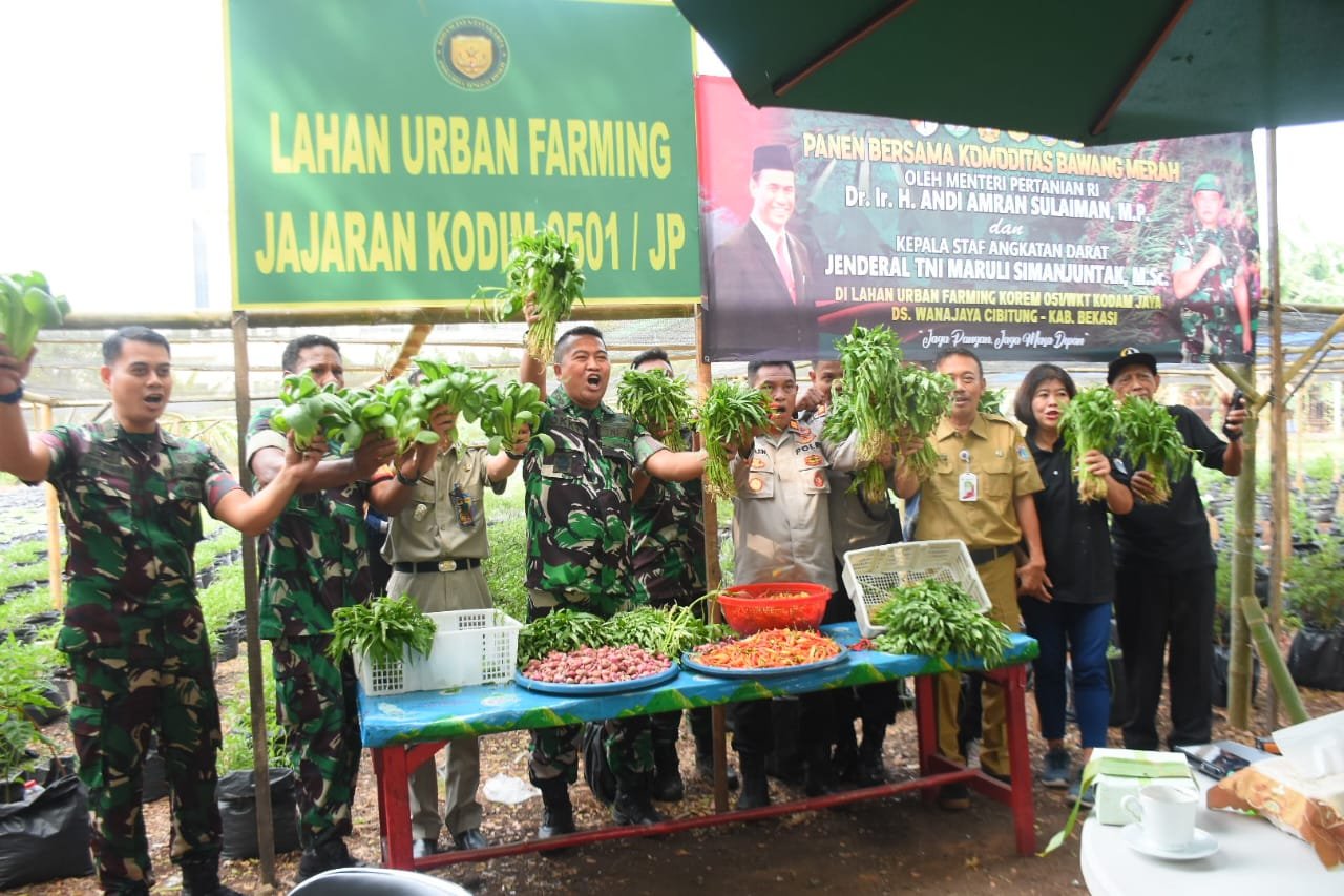 Kodim 0501/JP Sukses Panen Sayur Mayur di Lahan Urban Farming Dengan Media Tanam Polybag