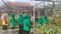 Ketua Persit KCK Ranting 8 Cabang XXII Kodim 0508/Depok Mengunjungi Kebun Anggrek ESTIE'S ORCHID Meruyung