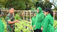 Panen Ke-2 Urban Farming, Kodim Jakpus Berkebun Diatas Aspal