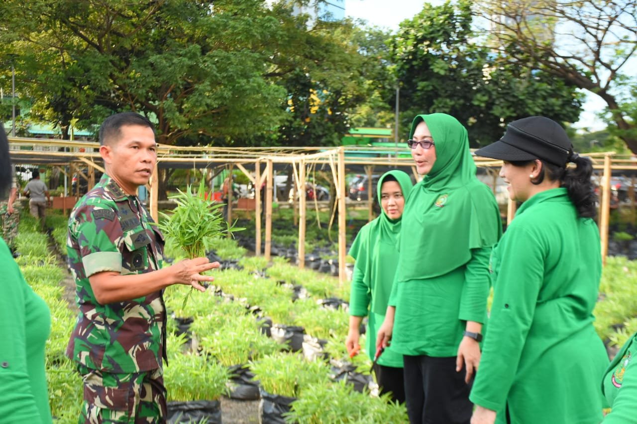 Panen Ke-2 Urban Farming, Kodim Jakpus Berkebun Diatas Aspal