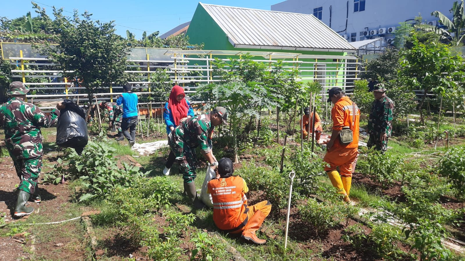 Koramil Kramatjati melakukan pengenalan bercocok tanam dengan memanfaatkan lahan kosong terhadap siswa SMPN 281 Jakarta.