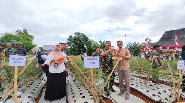 Kolaborasi untuk Ketahanan Pangan: Sukses Panen Perdana Urban Farming Kodim 0508/Depok