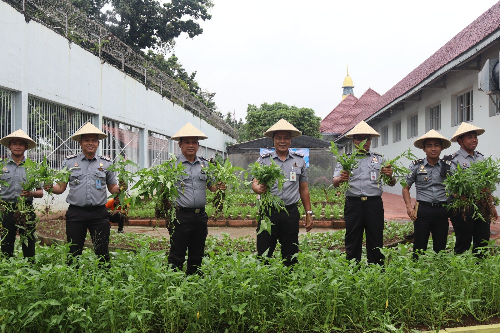 Dukung Ketahanan Pangan dan Akselerasi Program Menimipas, Lapas Pemuda Tangerang Ikuti Panen Raya dan Baksos Serentak UPT Pemasyarakatan