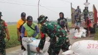 Dandim Brebes Pastikan Petani Tak Rugi, Gabah Diserap Bulog Sesuai HPP