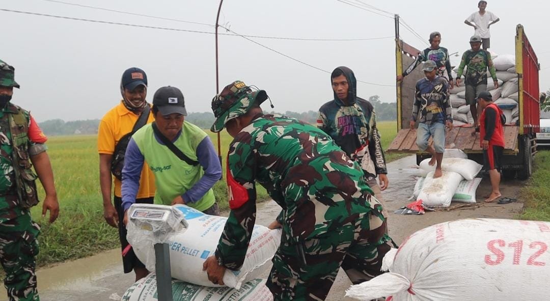 Dandim Brebes Pastikan Petani Tak Rugi, Gabah Diserap Bulog Sesuai HPP