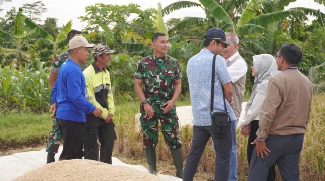 Dandim 0508/Depok dan Kepala Cabang Bulog Lihat Panen Petani di Kp Cimpaeun