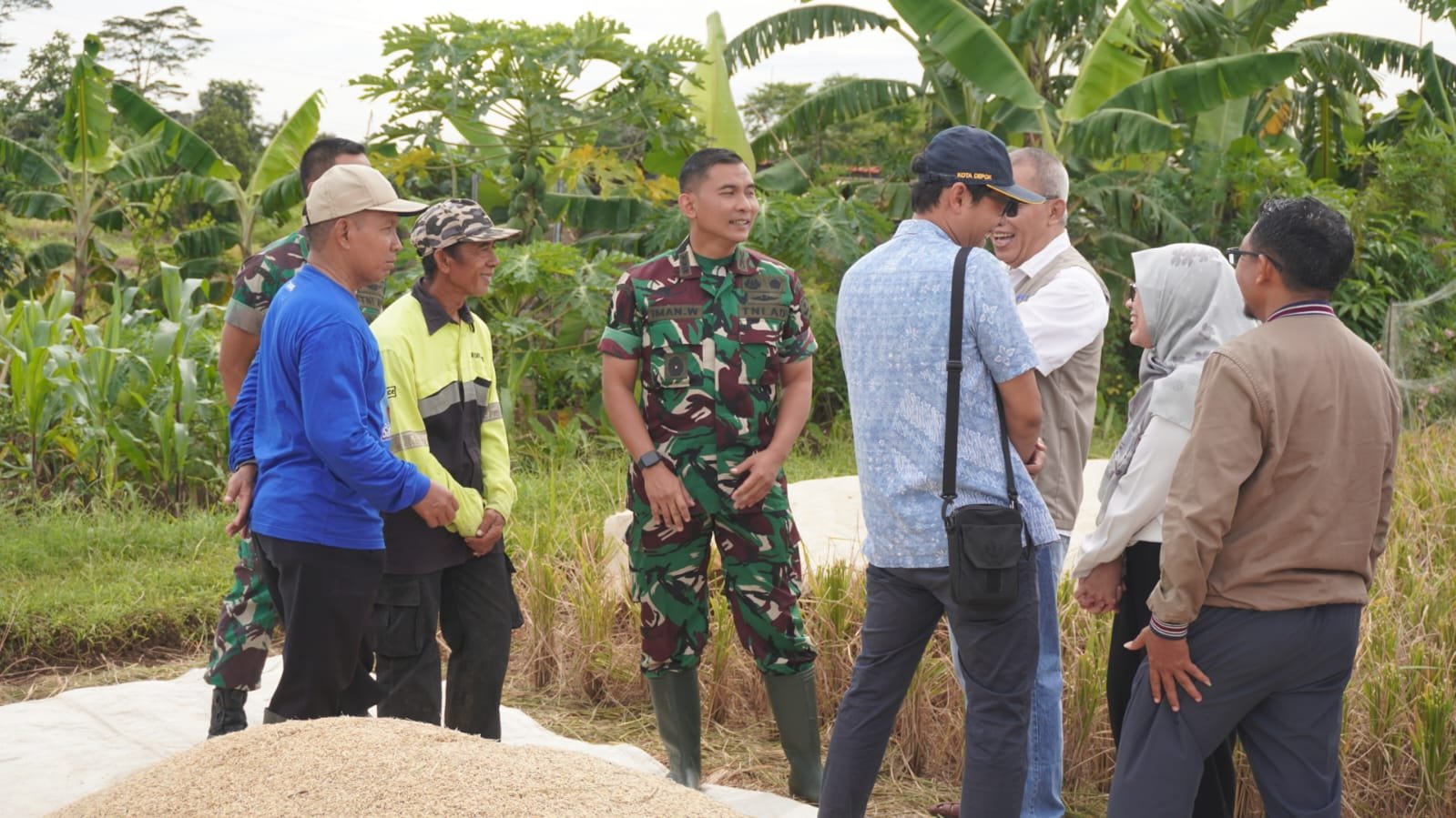 Dandim 0508/Depok dan Kepala Cabang Bulog Lihat Panen Petani di Kp Cimpaeun