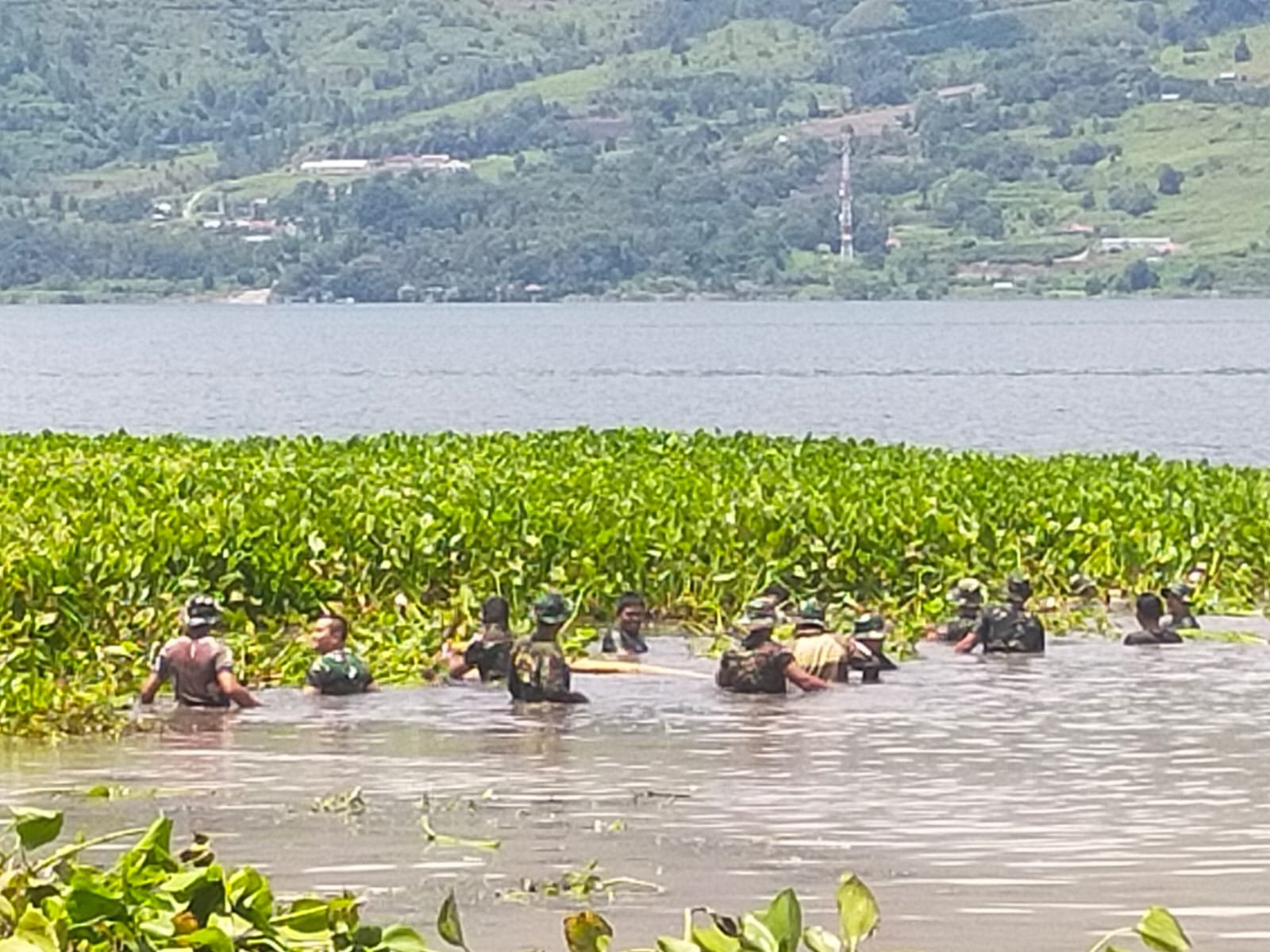 Ratusan prajurit Kodim 0210/TU Bersihkan Eceng Gondok di Danau Toba