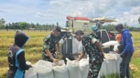 Sambangi Pabrik Gabah, Dandim 1407/Bone Pastikan Penyerapan Gabah Di Wilayah Teritorialnya Berjalan Aman Dan Lancar