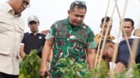Kasad dan Wamentan Resmikan Sarana Pengairan Ribuan Hektar Sawah di Sukabumi
