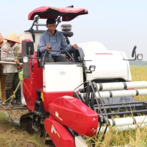 Danrem 051/WKT dan Aster Kasdam Jaya Panen Raya Padi di Cibitung