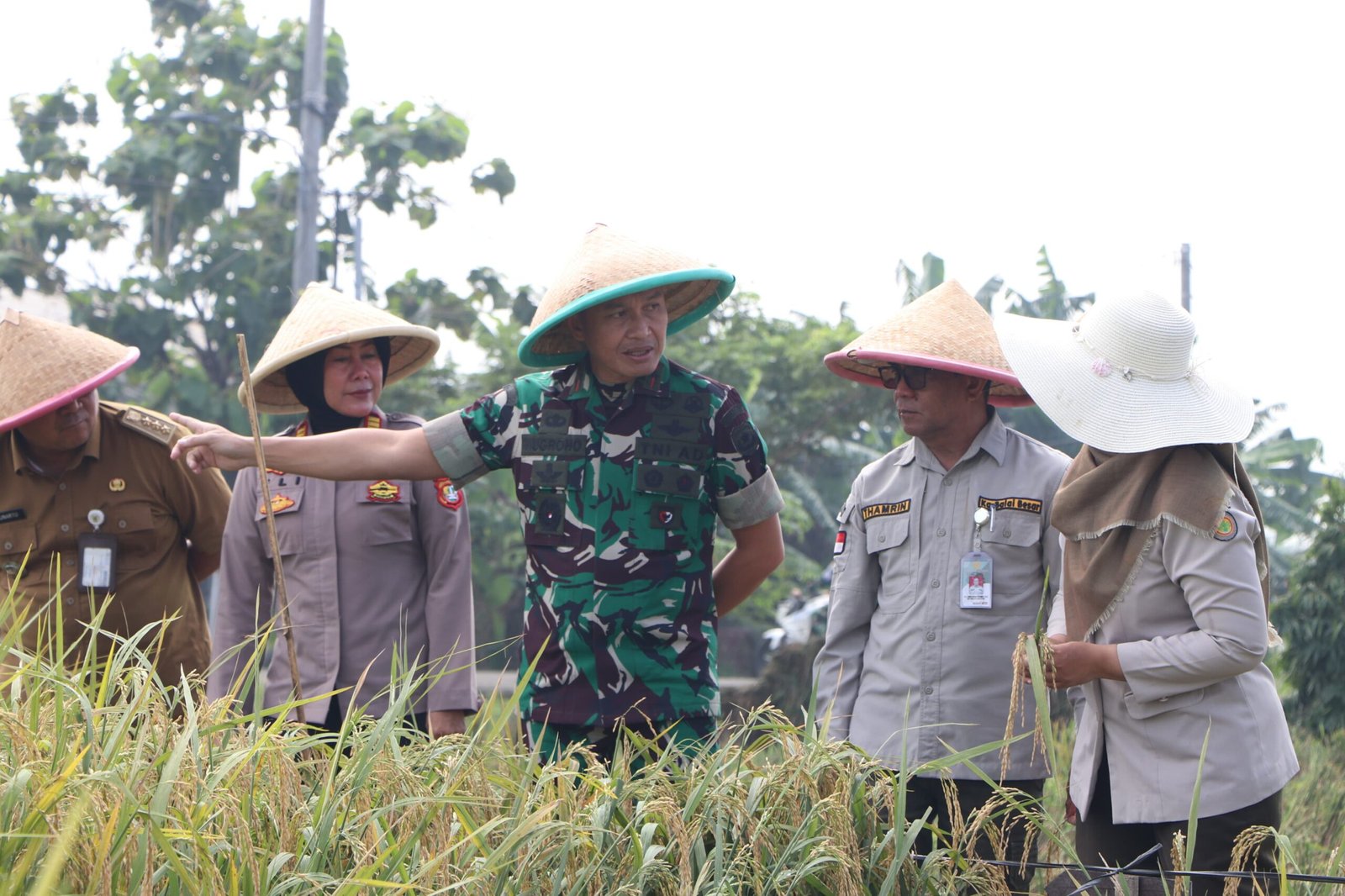 Danrem 051/WKT Bersama Aster Kasdam Jaya Laksanakan Panen Raya Padi di Wanajaya, Cibitung