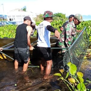 Kodim 0210/TU Kompak Bersama Warga Bersihkan Danau Toba Dari Eceng Gondok