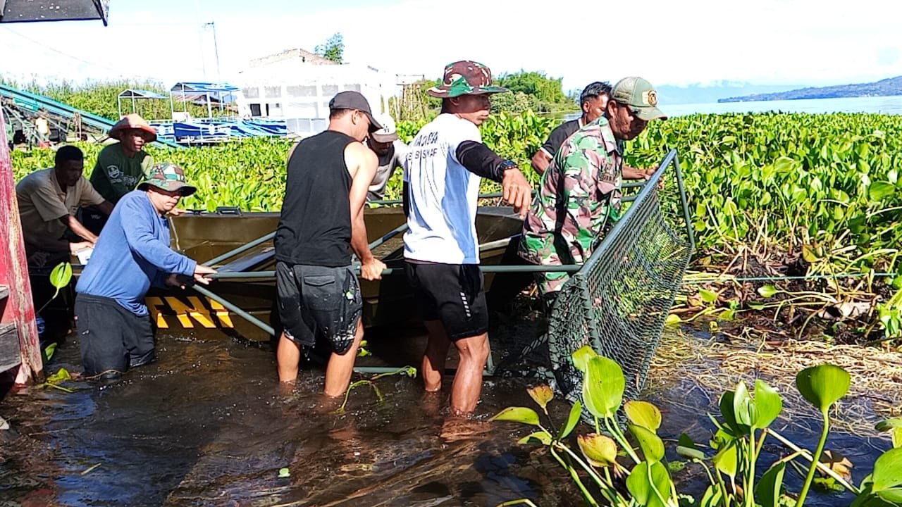Kodim 0210/TU Kompak Bersama Warga Bersihkan Danau Toba Dari Eceng Gondok