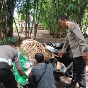 WhatsApp Image 2025-05-28 at 14.50.22 Tegas Berantas Perjudian Polisi Bongkar Lima Arena Sabung Ayam di Jember