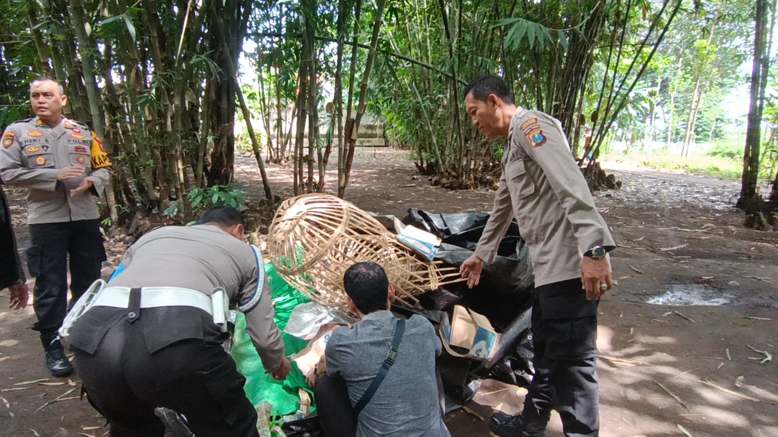 Tegas Berantas Perjudian Polisi Bongkar Lima Arena Sabung Ayam di Jember