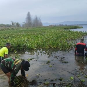 WhatsApp Image 2025-05-31 at 16.57.48 Kodim 0210/TU Bersama Warga Jaga Keindahan dan Ekosistem di Danau Toba