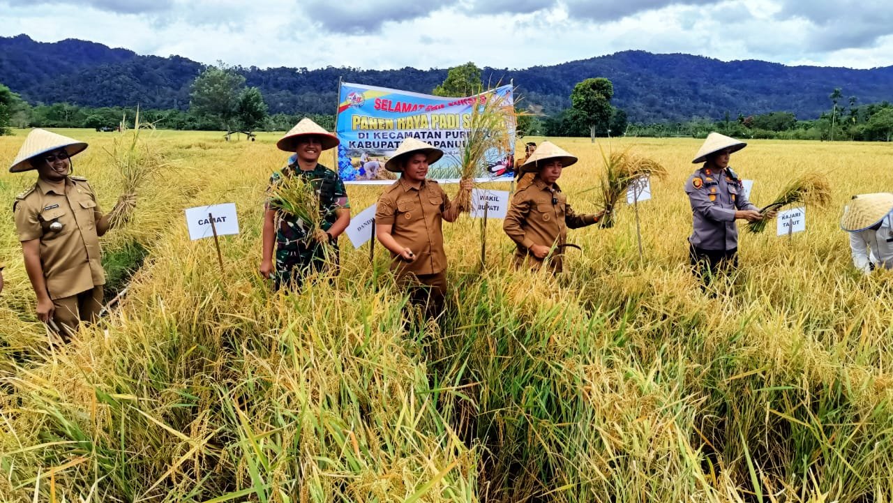 Dukung Asta Cita, Dandim 0210/TU Bersama Forkopimda Hadiri Panen Raya Padi