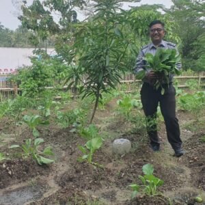 Petik Sawi, Petik Peluang! Warga Binaan Lapas Cilegon Terus Berkarya