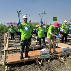 WhatsApp Image 2025-07-19 at 17.32.30