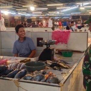 WhatsApp Image 2025-07-19 at 17.33.19