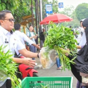 Screenshot_20250918-073239~2