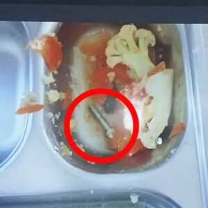 WhatsApp Image 2025-09-03 at 17.10.50 (1) Baut Dalam Makanan BGN SMK 3 Jember Ternyata Cuma Hoax