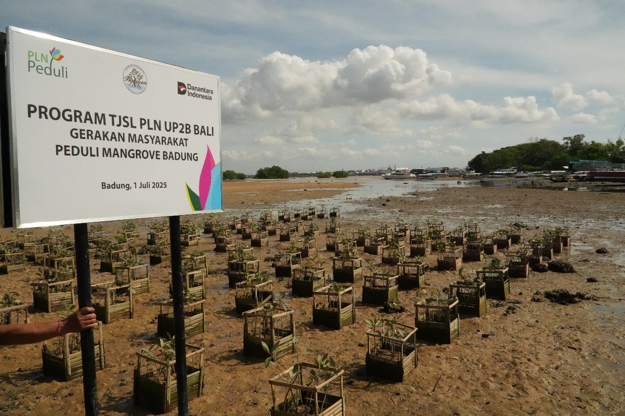 PLN UP2B Bali Tanam 6.000 Bibit Mangrove untuk Cegah Abrasi dan Pelihara Ekosistem Pesisir