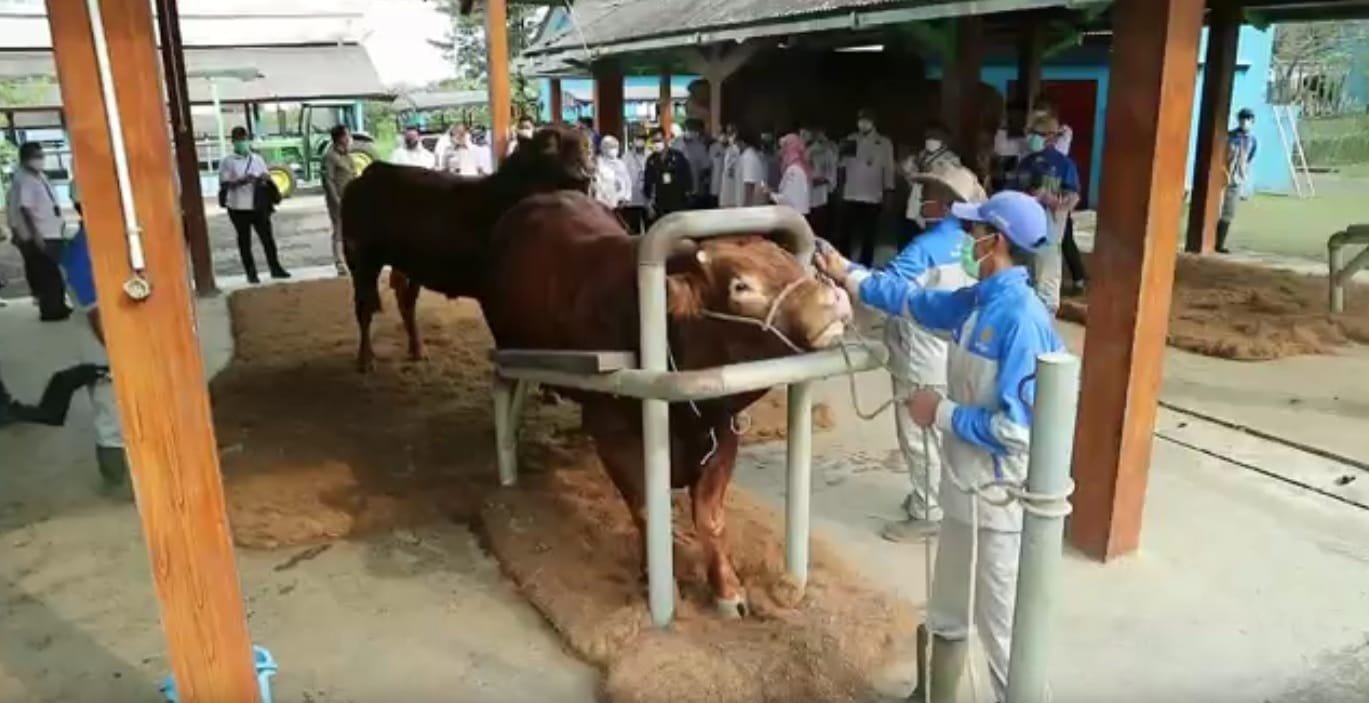 Dari Limbah Sabut Kelapa ke Alas Kandang Higienis, Kolaborasi Lapas Tulungagung dan Balai Besar Inseminasi Buatan (BBIB) Singosari Mendorong Kemandirian