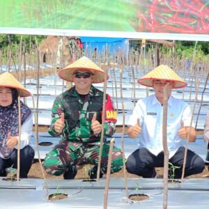 WhatsApp Image 2025-10-08 at 20.39.06 Dandim Pungky Pimpin Gerakan Tanam Cabai Merah Untuk Bungo Tahan Pangan & Tekan Inflasi