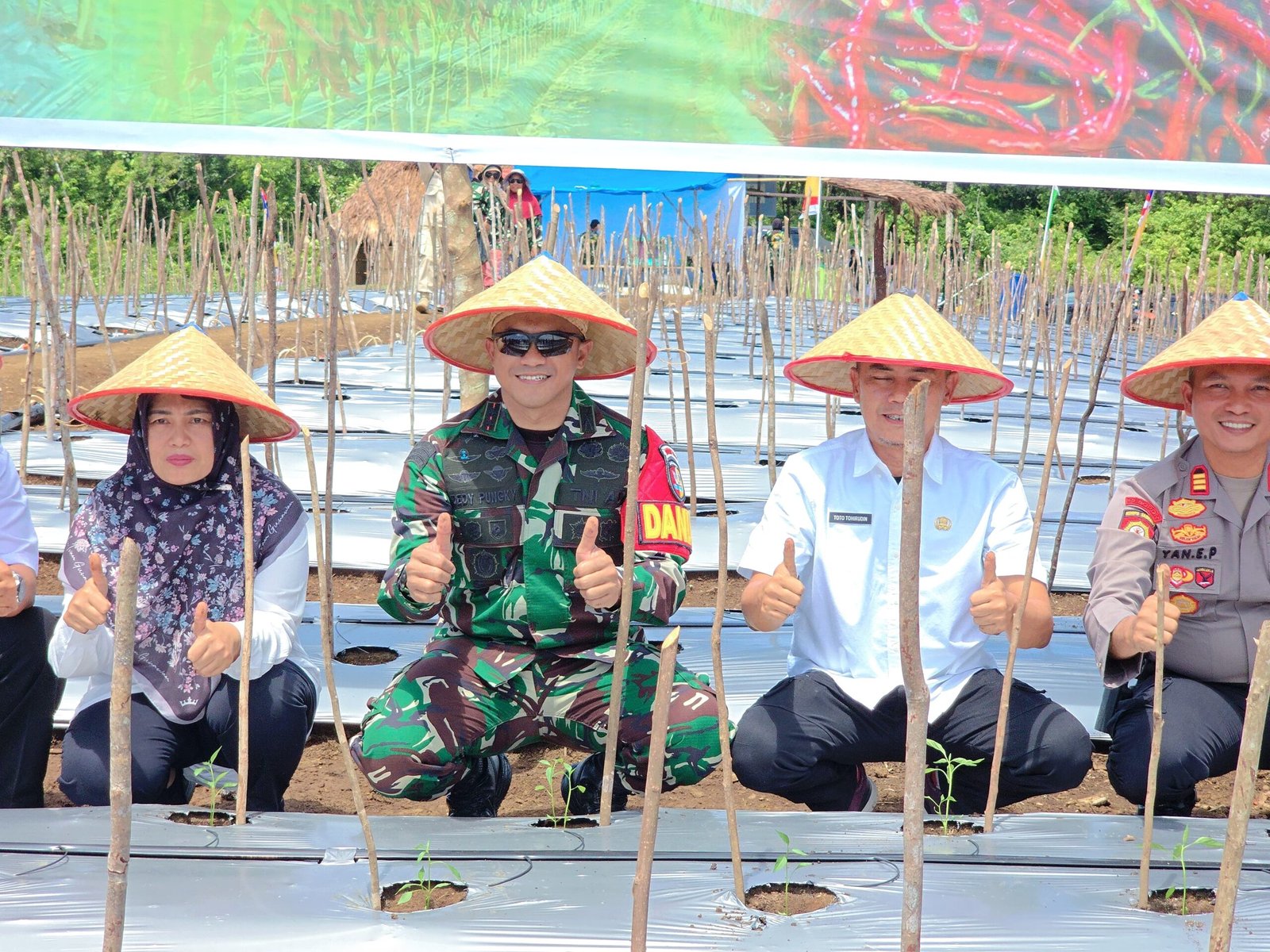 Dandim Pungky Pimpin Gerakan Tanam Cabai Merah Untuk Bungo Tahan Pangan & Tekan Inflasi