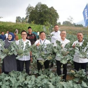Menko Pangan RI Panen Brokoli hingga Ayam Petelur di Rumah Pangan PNM