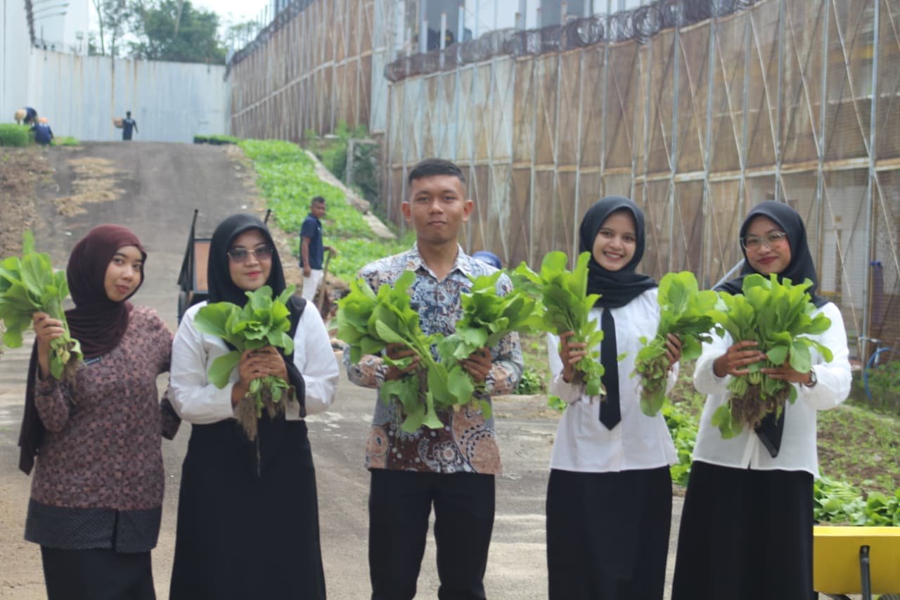 Hijau yang Membebaskan, Sawi dan Kangkung Jadi Simbol Pembinaan di Lapas Cilegon