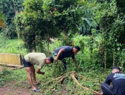 WhatsApp Image 2026-03-01 at 14.24.49