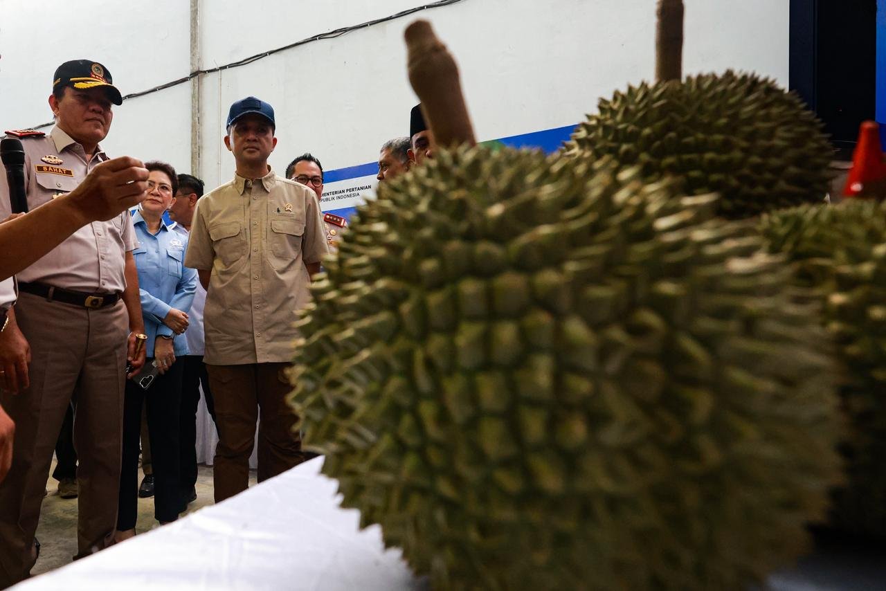 Durian Parigi Moutong Mendunia, 459 Ton Tembus Pasar China Senilai Rp42,5 Miliar