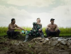 Obrolan kecil di Tengah Hamparan Sawah, Masyarakat Bersama Satgas TMMD 128 Kodim Pati