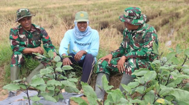Komsos di Lahan Pertanian, Hangatnya Kebersamaan Satgas TMMD dan Petani Desa Godo