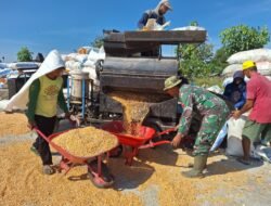 Sinergi Tanpa Batas, Anggota Kodim 0718/Pati Ringankan Beban Pengusaha Giling Jagung di Lokasi TMMD