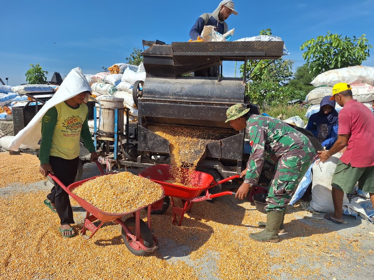 Sinergi Tanpa Batas, Anggota Kodim 0718/Pati Ringankan Beban Pengusaha Giling Jagung di Lokasi TMMD