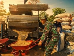 Satgas TMMD Kodim Pati Turun Langsung Dukung Ketahanan Pangan, Bantu Penggilingan Jagung Warga di Desa Godo