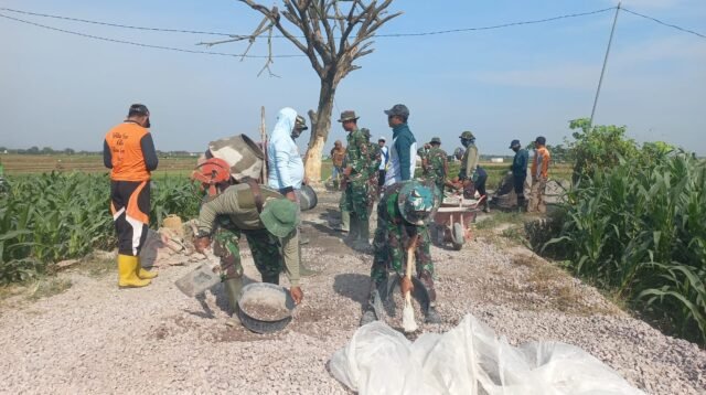 Dari Hamparan Sawah Desa Godo, Semangat Kebersamaan Mengiringi Betonisasi Jalan