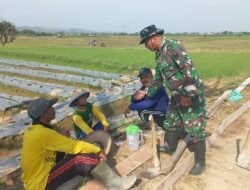 Komsos di Tengah Pengecoran, Serka Iskandar Dengarkan Harapan Petani Desa Godo