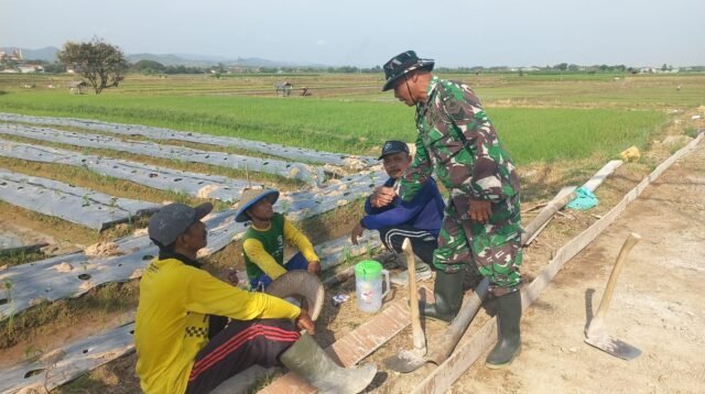 Komsos di Tengah Pengecoran, Serka Iskandar Dengarkan Harapan Petani Desa Godo