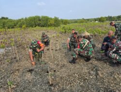 1.000 Mangrove Ditanam di Pulo Panjang, TMMD Serang Dukung Konservasi