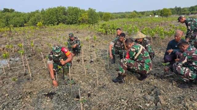 1.000 Mangrove Ditanam di Pulo Panjang, TMMD Serang Dukung Konservasi