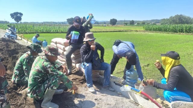 Lepas Lelah Cor Jalan, Satgas TMMD 128 dan Warga Godo Ngopi Bareng di Tepi Sawah