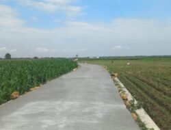 Jalan Beton Desa Godo Rampung 100 Persen, Petani Kini Lebih Mudah Angkut Hasil Panen